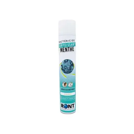 Bactéricide menthe 1L - Aérosol